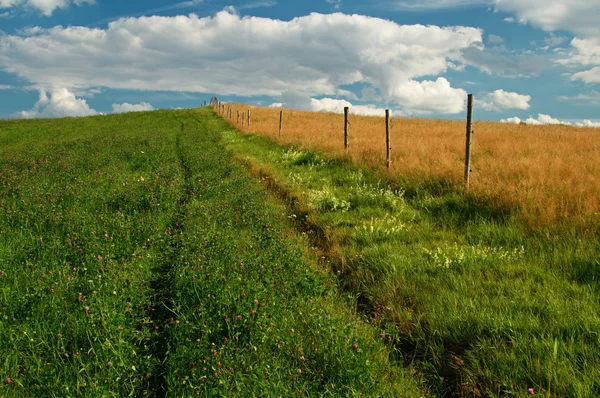 Un voyage autour de la clôture en bois — Photo