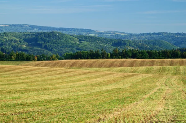 Skördade fält — Stockfoto