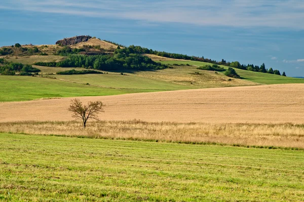 Berg van granen veld — Stockfoto