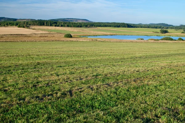 Mowed meadow with a pond — Stock Photo, Image