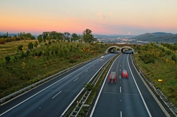 Asfalt snelweg met ecoduct bij zonsondergang — Stockfoto