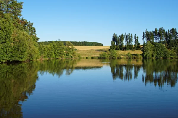 Vijver omgeven door bomen — Stockfoto