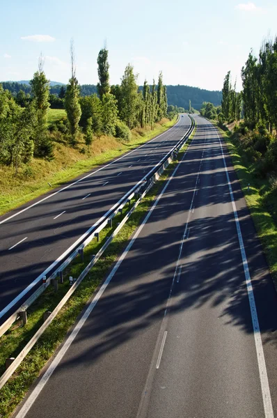 Carretera vacía bordeada de una hilera de árboles —  Fotos de Stock