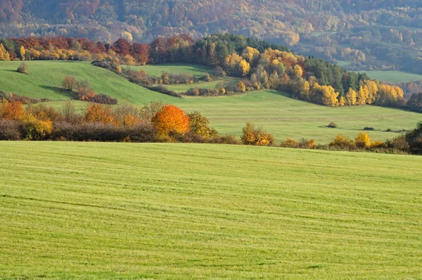 Louky a stromy s listy v barvách podzimu — Stock fotografie