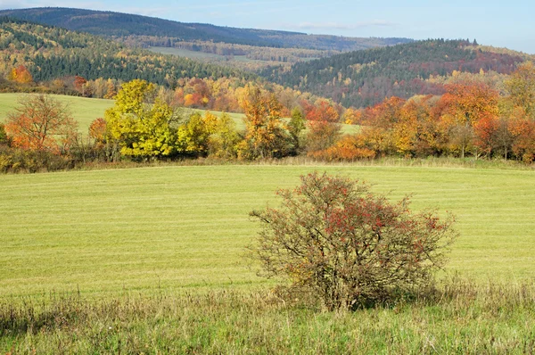 Paisaje otoñal —  Fotos de Stock