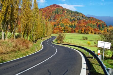 renkler sonbahar ormanlık dağ flamboyant boş yol