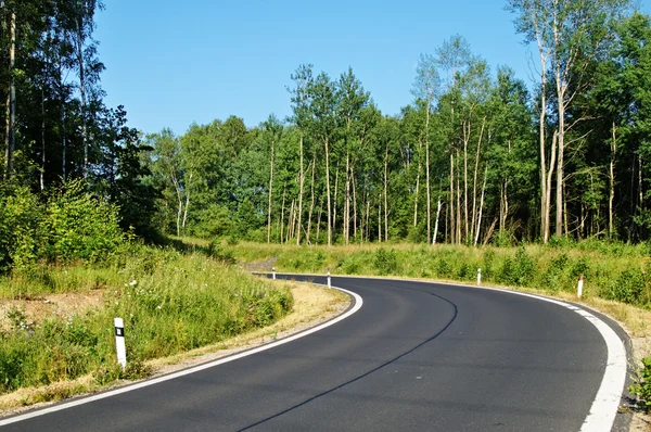 Kurve der Straße zwischen Wäldern — Stockfoto