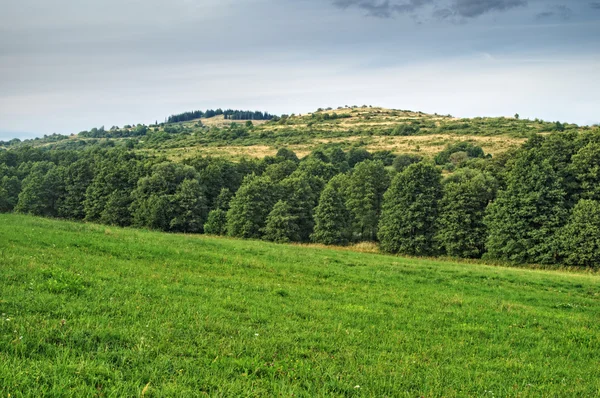 Paesaggio con campi verdi e colline fiancheggiate da alberi frondosi — Foto Stock