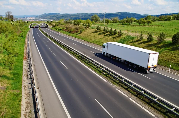 Autopista del corredor con la transición para la vida silvestre — Foto de Stock