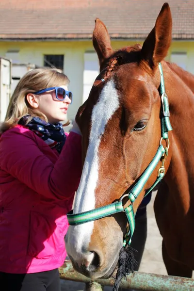 Saddling the chestnut horse — Stock Photo, Image