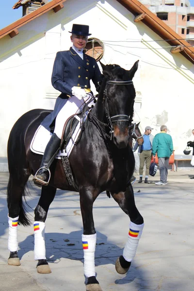 Cavallerizza sul cavallo nero — Foto Stock