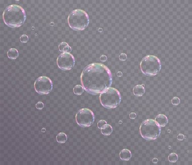 Sabun köpükleri Şeffaf Arkaplanda. Vektör İllüstrasyonu