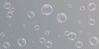 Gerçekçi sabun köpükleri koleksiyonu. Kabarcıklar şeffaf bir arkaplanda yer almaktadır. 
