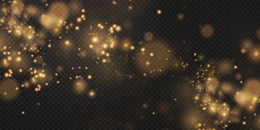 Noel arkaplanı. Toz PNG. Sihirli altın tozu. Güzel, parlak toz parçacıkları hafifçe düşer. Fantastik ışıltı efekti.