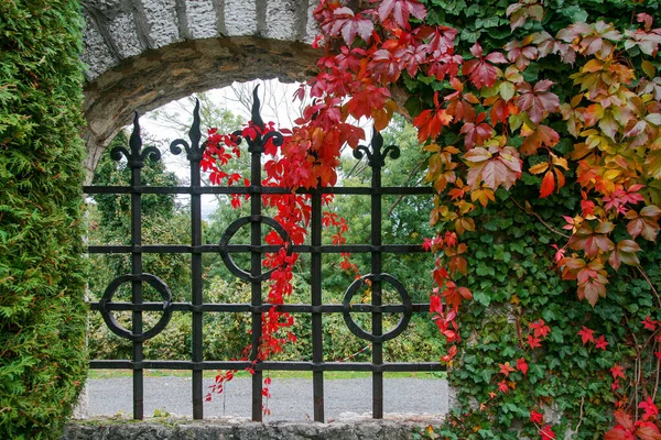 2021 Smolenice Slovaquie Château Smolenice Château Dans Versant Est Des — Photo