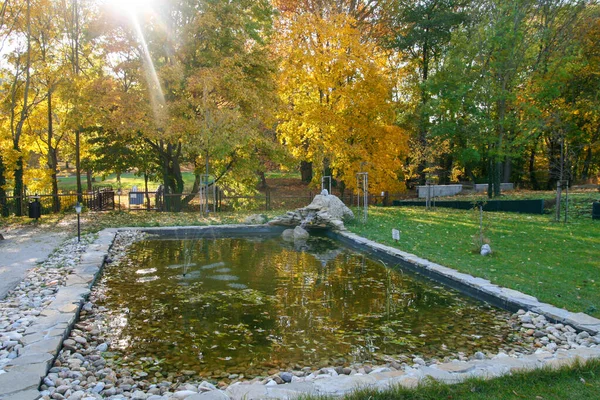 2021 Dolna Krupa Trnava Hermoso Paisaje Otoño Capturado Pueblo Eslovaquia — Foto de Stock