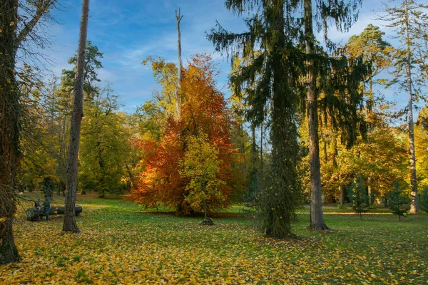 2021 Dolna Krupa Trnava Beautiful Autumn Scenery Captured Village Slovakia — Stock Photo, Image