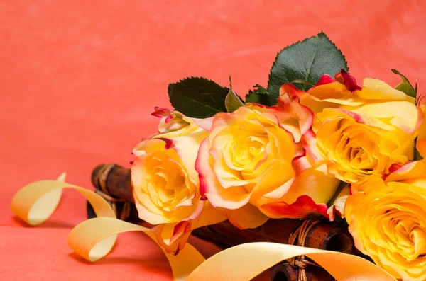 Background with yellow roses — Stock Photo, Image