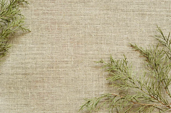 Hintergrund der Leinwand mit Zweigen — Stockfoto