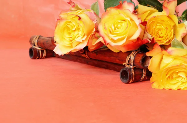 Красивые желтые розы — стоковое фото