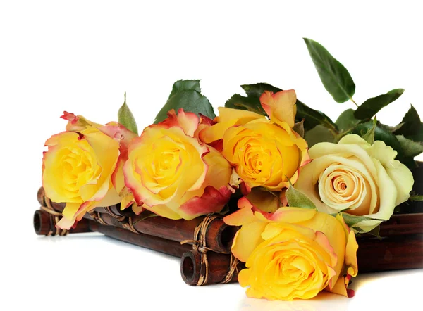 Yellow roses on a white background — Stock Photo, Image