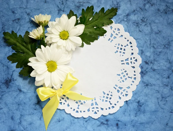 Chamomile composition on blue paper — Stock Photo, Image