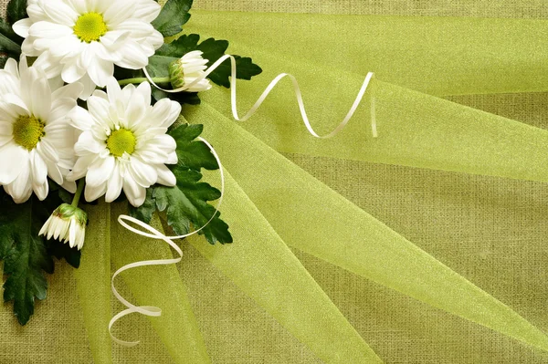 Flowers and green organza — Stock Photo, Image