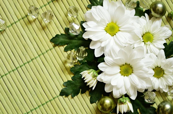 Daisies composition on a bamboo mat — Stock Photo, Image