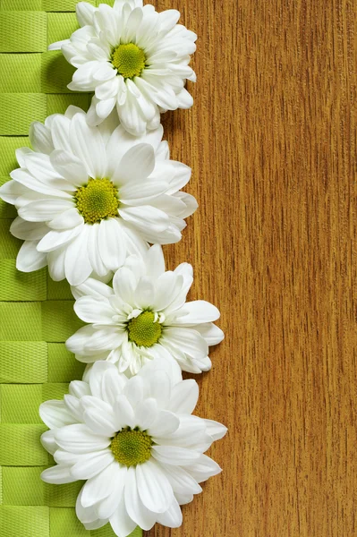 Daisies on wooden background — Stock Photo, Image