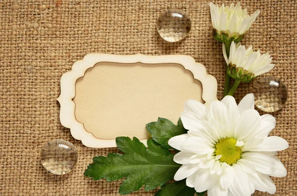 Daisy arrangement and a card — Stock Photo, Image