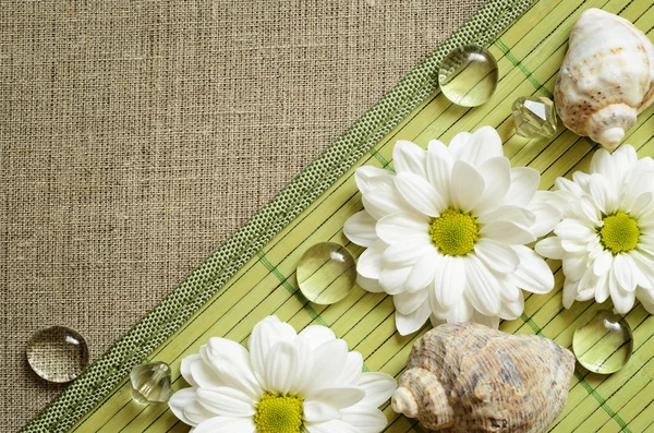 Daisies on a bamboo mat and canvas — Stock Photo, Image