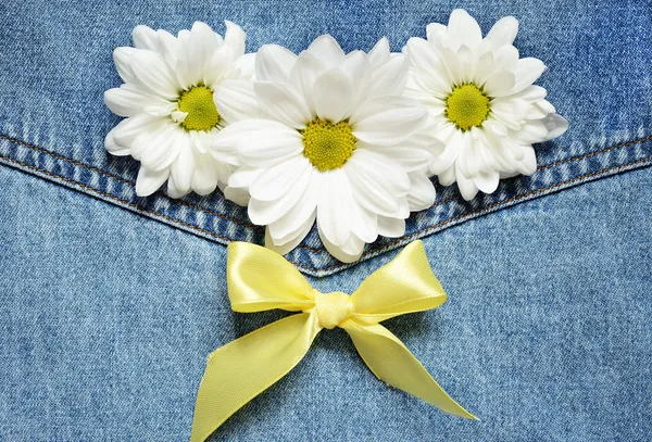 Daisies on denim background — Stock Photo, Image