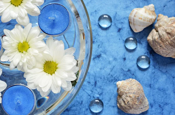 Marguerites et bougies bleues — Photo