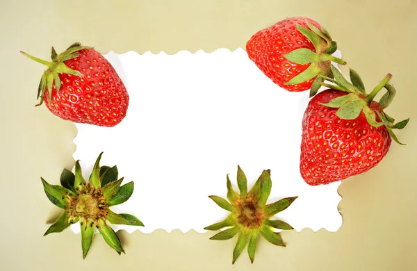 Frame with strawberries — Stock Photo, Image