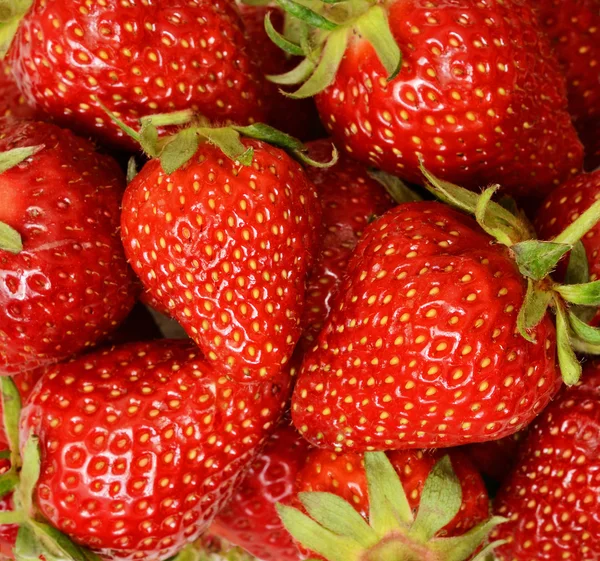 Ripe juicy strawberry — Stock Photo, Image