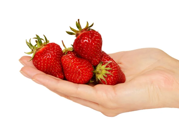 Un puñado de fresas Imágenes de stock libres de derechos