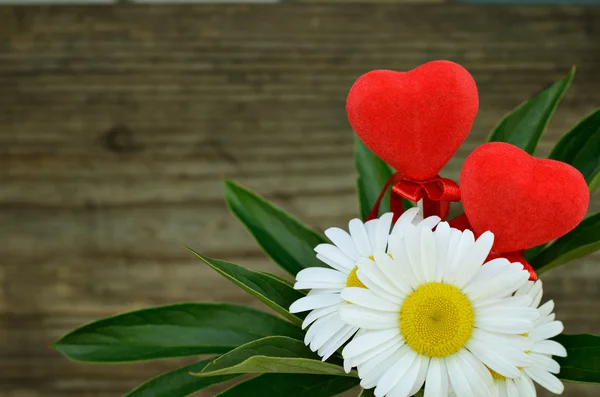 Gänseblümchen und zwei Herzen — Stockfoto
