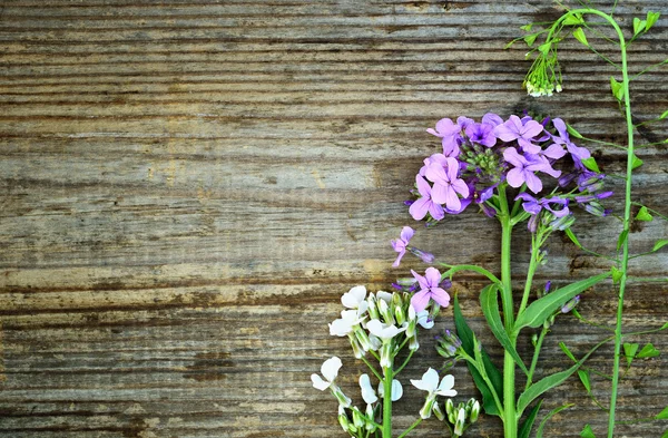 Wildflowers on old grunge wood — Stock Photo, Image