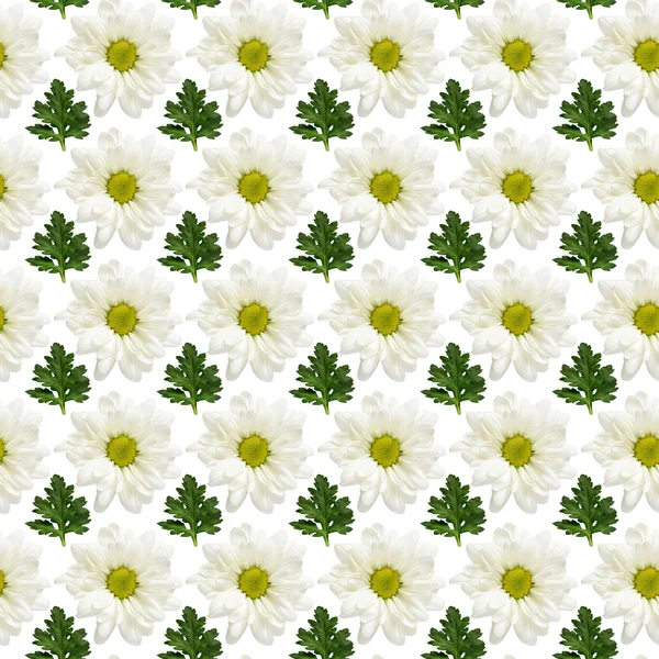 Seamless pattern of flowers and leaves — Stock Photo, Image