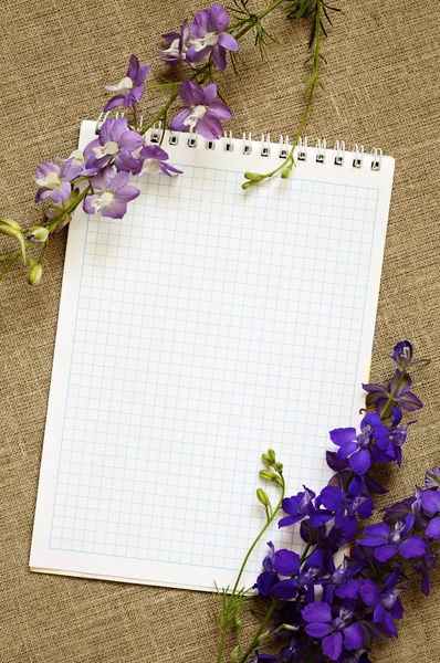 Diary and delphinium — Stock Photo, Image