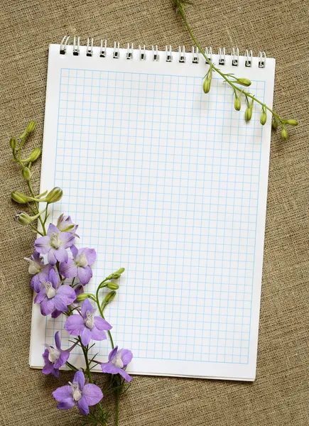 Notebook a květiny — Stock fotografie