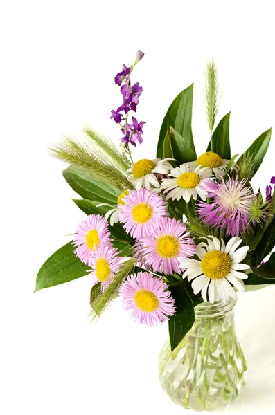Bouquet of wildflowers — Stock Photo, Image