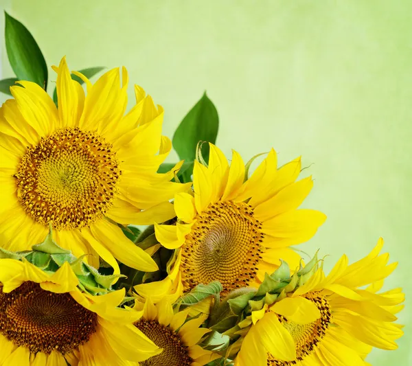 Bouquet of sunflowers — Stock Photo, Image