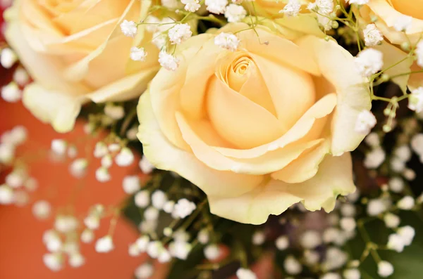 Bouquet of peach roses — Stock Photo, Image