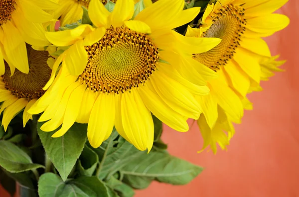 Sunflowers bouquet — Stock Photo, Image