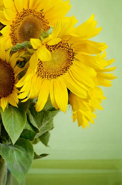 Sunflowers bouquet — Stock Photo, Image