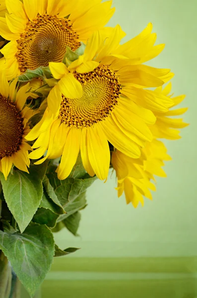 Bouquet de tournesols — Photo