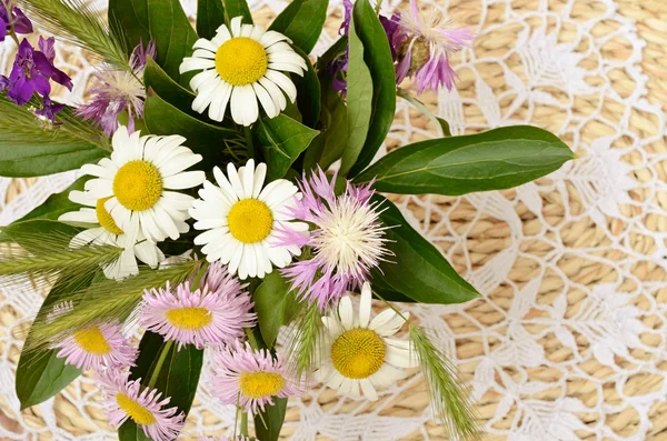 Summer wildflowers — Stock Photo, Image