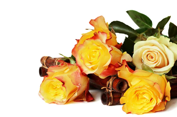 Yellow roses on white background — Stock Photo, Image