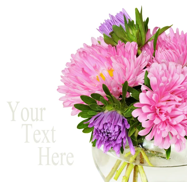 Bouquet of pink asters — Stock Photo, Image